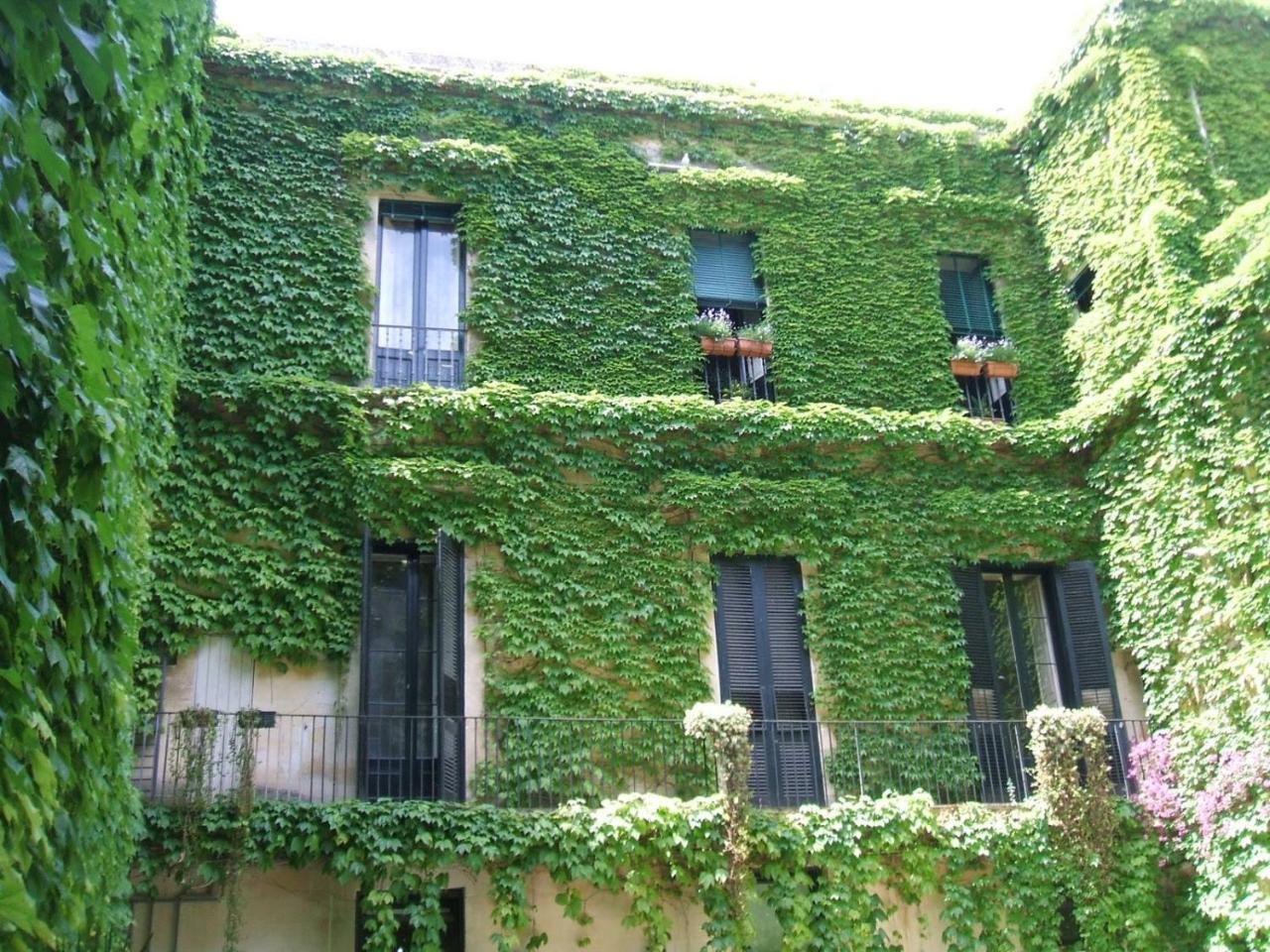 Palazzo Rollo Bed & Breakfast Lecce Ngoại thất bức ảnh